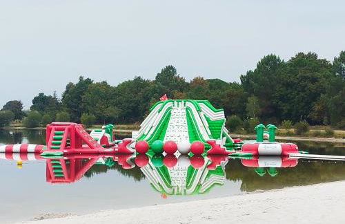 CHALET 10 chaleureux tout confort dans domaine avec Piscine au cœur des Landes bord de Lac avec plage aménagée - Foto 4