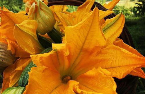 Il tiglio b&b agri restaurant - Foto 18