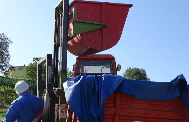 Al Tirabusòn Countryhouse - Foto 48