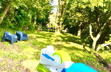 LA VILLA DES OISEAUX - La Petite Pierre - Foto 25