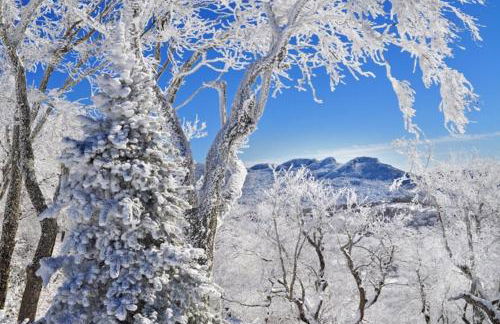 Handsome 2BR Condo with Gorgeous Views in Sugar Mountain! condo - Foto 32