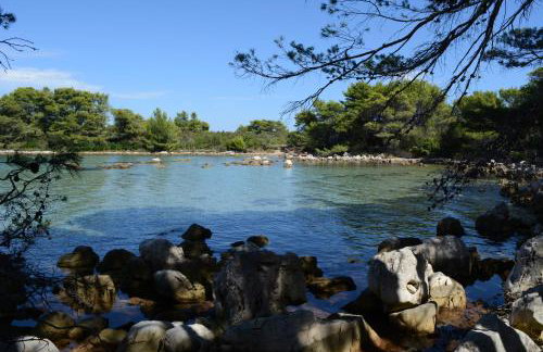 Apartmani Mirko A1 - Photo 6