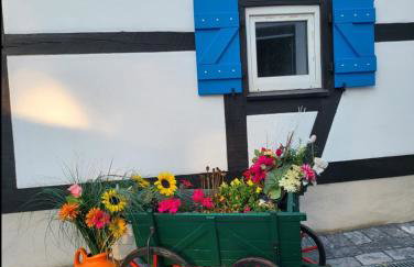 NY-GOLDEN APARTMENTS-Dortmund Airport - Foto 14