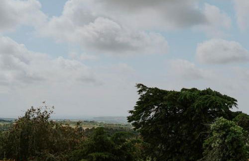 Best Houses 70 - Green Holidays - Foto 31