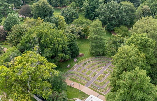 Cozy Family Home - Walk to MO Botanical Gardens - Photo 60