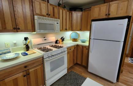 Woods Way Hideaway - minutes from Petoskey & Harbor Springs - close to beaches, skiing & more! - Foto 5