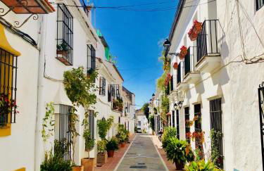 Duquesa Village (La Casa del Loonos) - Photo 65