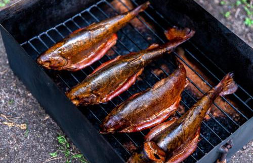 Całoroczne Domki Cameo nad jeziorem żarnowieckim - Foto 43