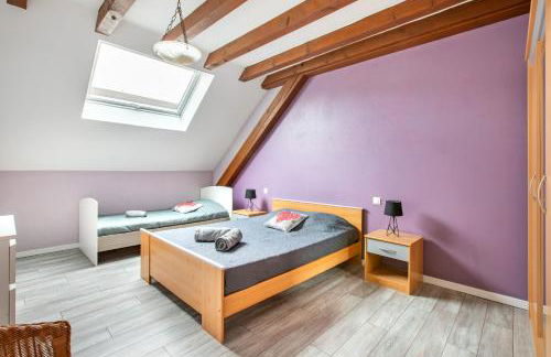 Route des vins d'Alsace, domaine viticole 'Pinot Gris' - Foto 13