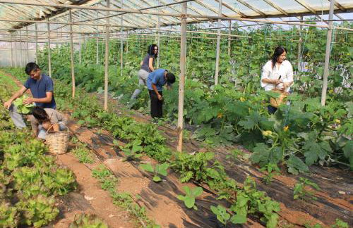 Orgon Farm Village Houses - Foto 22