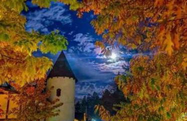 Alta Vista Haus in Moonridge - Foto 41