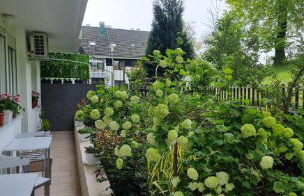 Apartman Filipčić - Foto 12