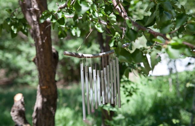 Taos Goji Farm & Eco-Lodge Retreat - Foto 3