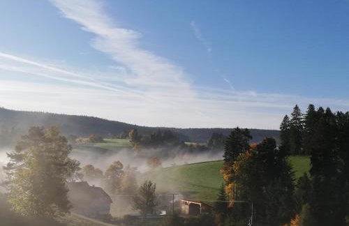 Haus Erlenmoos - Foto 12