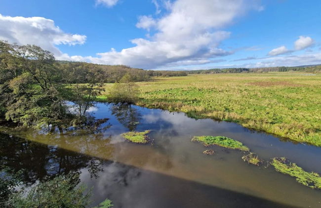 5 Person Holiday Home in Skanderborg-by Traum - Photo 34