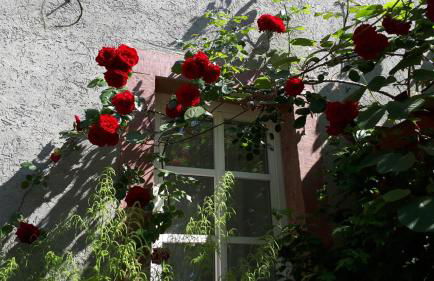 Apartment Annette Faust - Foto 13