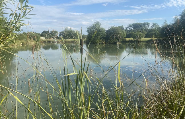 Beech Pod Cabin in Beautiful Surroundings Wrexham - Photo 12