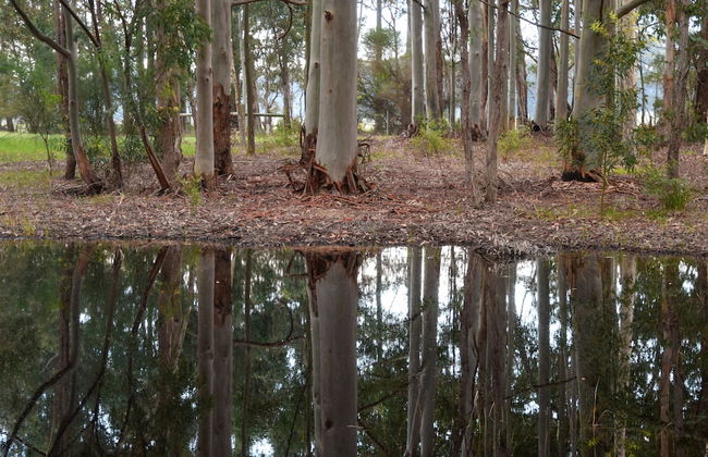 Ellensbrook Cottages - Foto 54