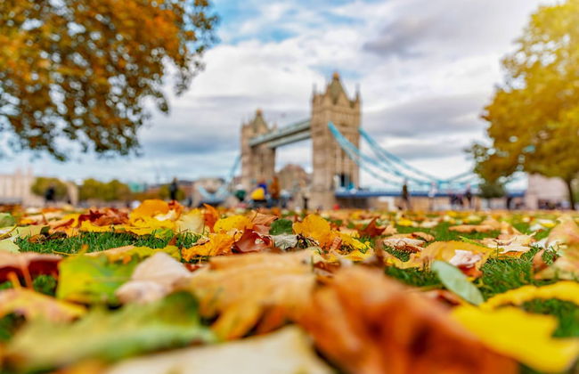 Two Bedroom Flat-Heart of London - Foto 24