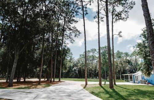 Madre Tierra - Photo 78