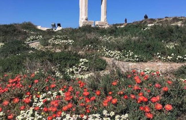 Studio Seagull - By Old Market Street - Naxos Town - Foto 22