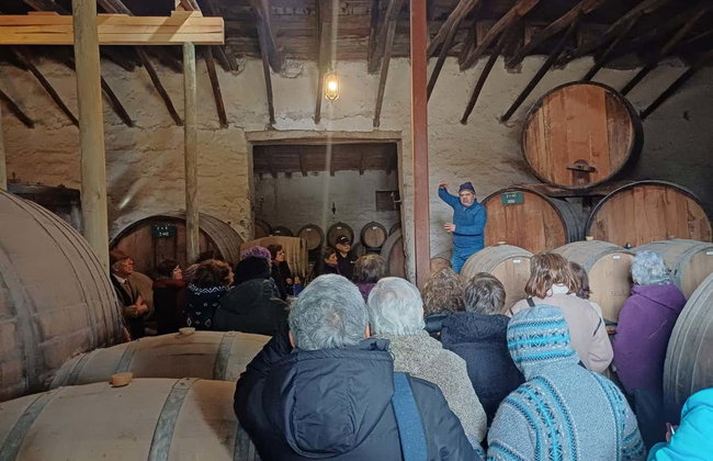 Escursione alla Laguna del Inca e alla Viña Sánchez de Loria - Foto 4