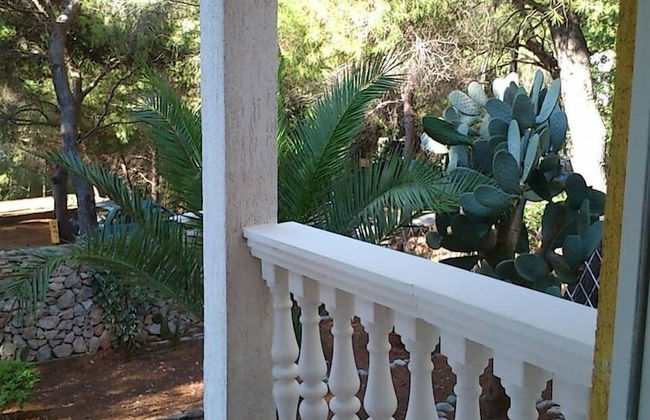 Eli - for Nature Lovers - A2 - Foto 11