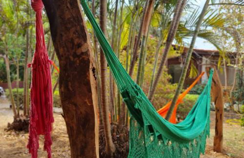 Casa 4 dorms 2 suites - localização perfeita no centrinho e rodeada de natureza - Foto 5