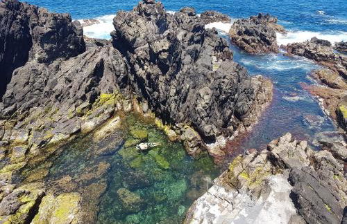 Quinta Rico - House II - Photo 63