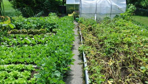 Haus Am Waldrand - Ferienwohnung Augustin - Foto 4, Garden