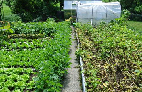 Haus Am Waldrand - Ferienwohnung Augustin - Foto 4