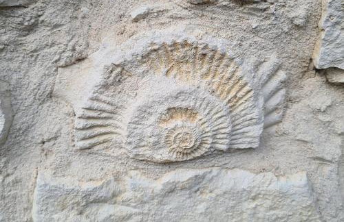 Cuda Wianki - Foto 8