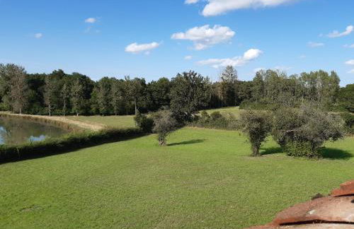 Gite La Volière Ouverte - Foto 7