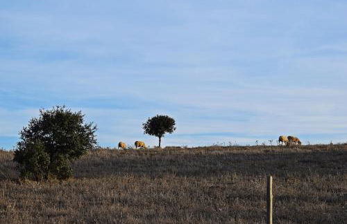Casa do Avô Tó - Foto 47