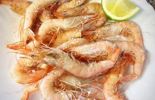 Catedral Plaza - Foto 33