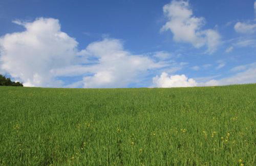 Chiesa Ignano 1778 - Photo 75