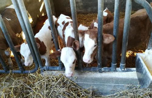 Agriturismo Torrevecchia - Foto 57