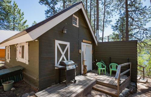 Nellie May Cabin on Vallecito Lake in Bayfield CO - Foto 28