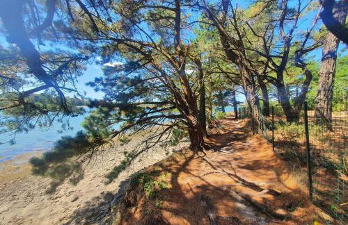 Maison historique - cour - centre-ville -plage 10 mn - Foto 33