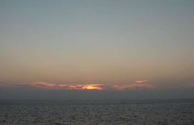 Sail into the Sunset: Picante’s Ocean Affair - Photo 4