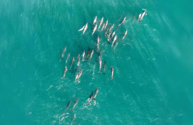 North Stradbroke Island Day Trip - Photo 4