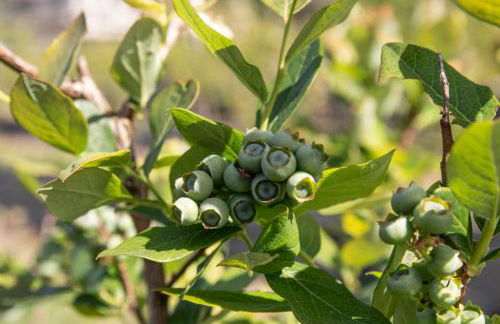Quinta de Requeixo - Foto 66