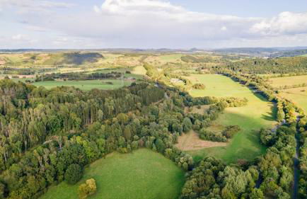 Ferienhaus Kronenburg - Foto 61