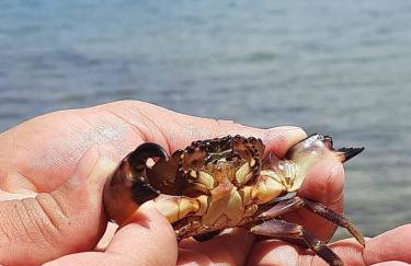 Casa de praia no paraíso de Angra! - Foto 25