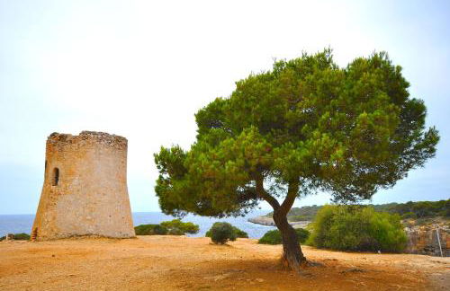 Houm Villa Cala Pi - Foto 33