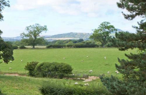 Horseshoe Cottage - Photo 12