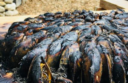 LES VACANCES AUX CERCINS - Foto 28