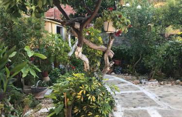 Mitsani Country House - Foto 11