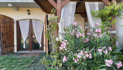 Madama Langa Country House con piscina nelle vigne - Photo 2