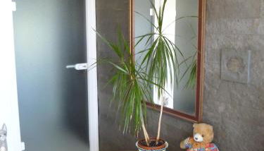 Villa Xadayu - Foto 4